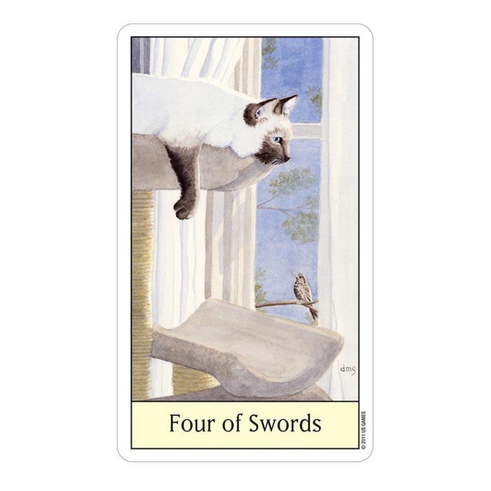 Cats Eye Tarot 12x7 cm Card Ga - Tarot Deck With Guidebook 评论和价格