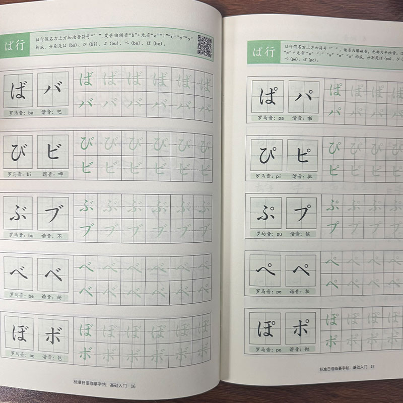 Japanese Hiragana & Katakana P - Chinese Calligraphy Practice Book 评论和价格