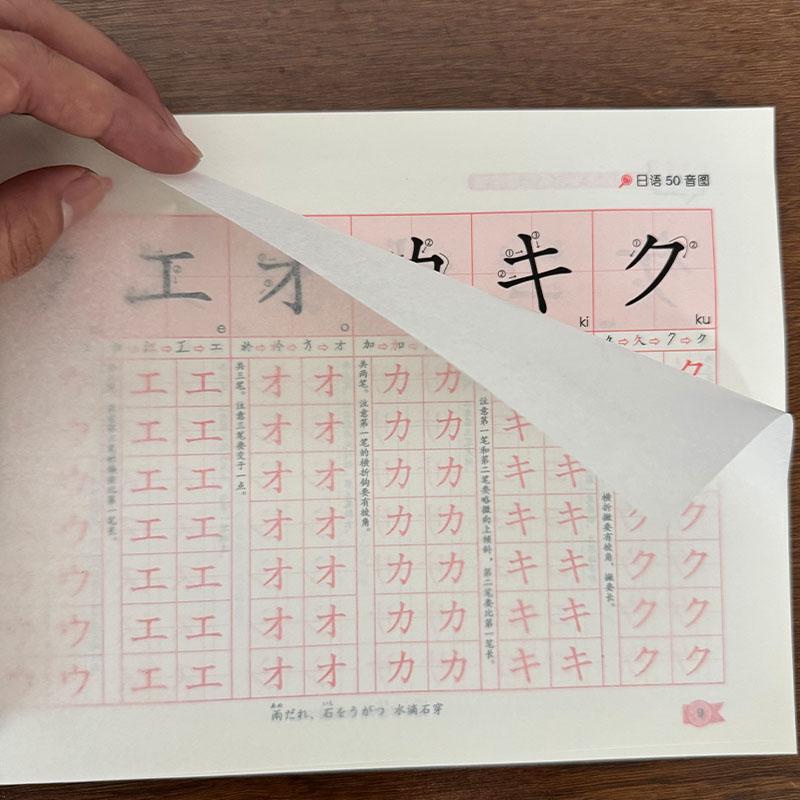 Zero Beginner Japanese Hiragan - Chinese Calligraphy Practice Book 评论和价格